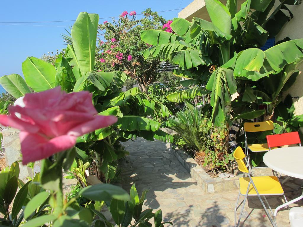 Porto Kastri Studios Kamer foto